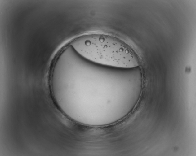 X0000102761216200808180923