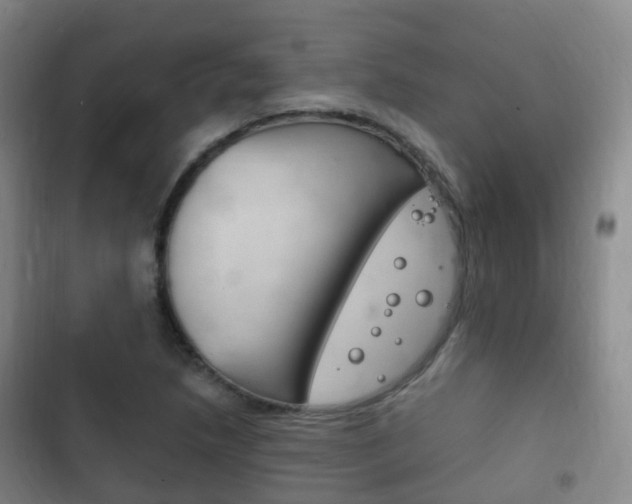 X0000102761218200808180923