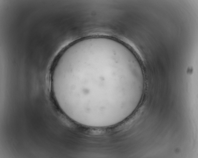 X0000102761219200808180923