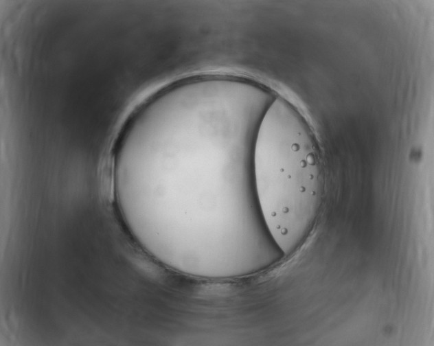X0000102761223200808180923