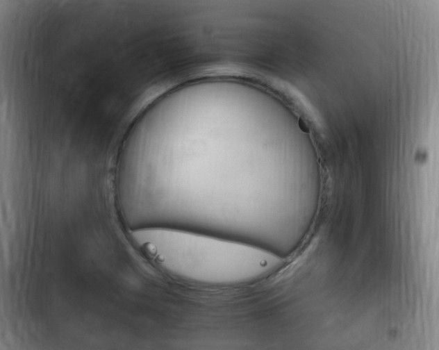 X0000102761225200808180923
