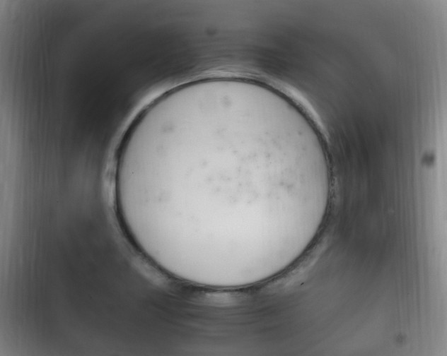 X0000102761227200808180923