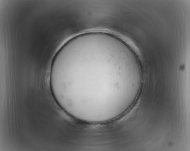 X0000102761228200808180923