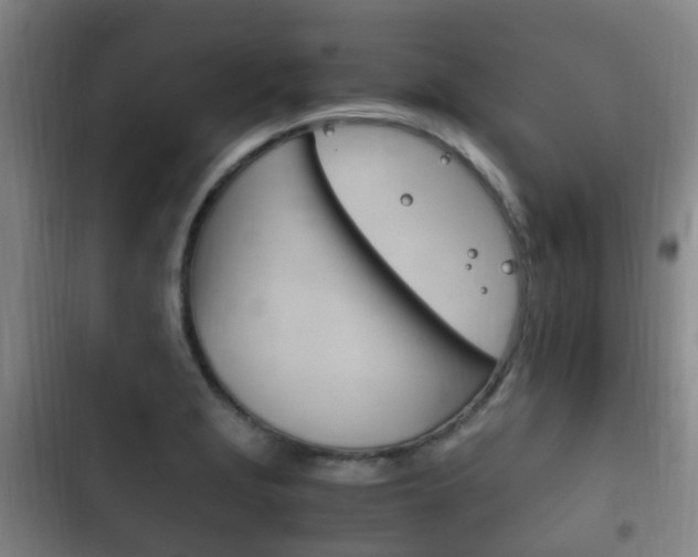X0000102761229200808180923