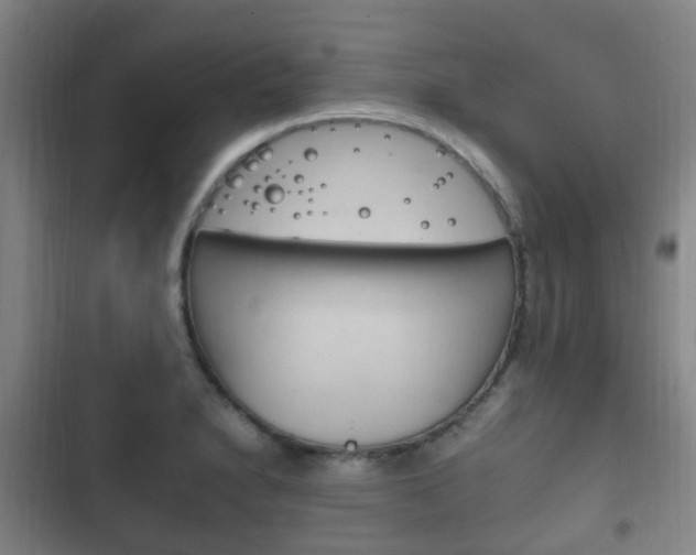 X0000102761230200808180923