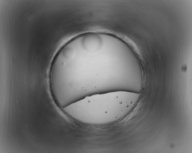 X0000102761231200808180923