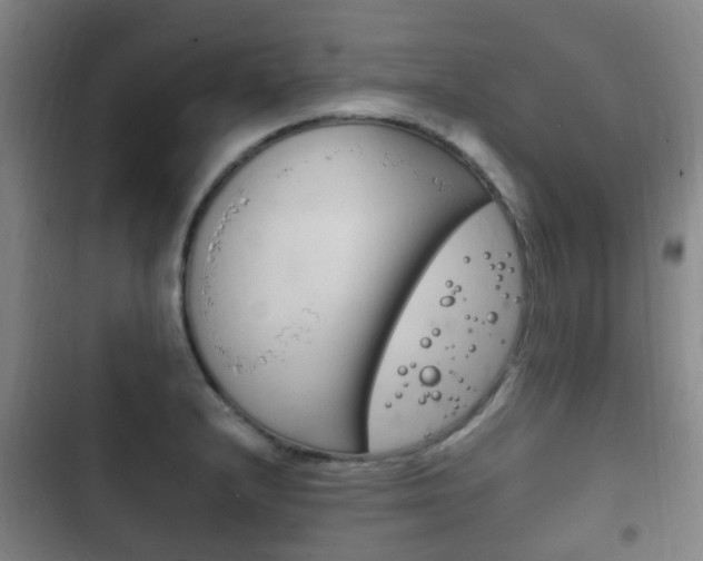 X0000102761232200808180924