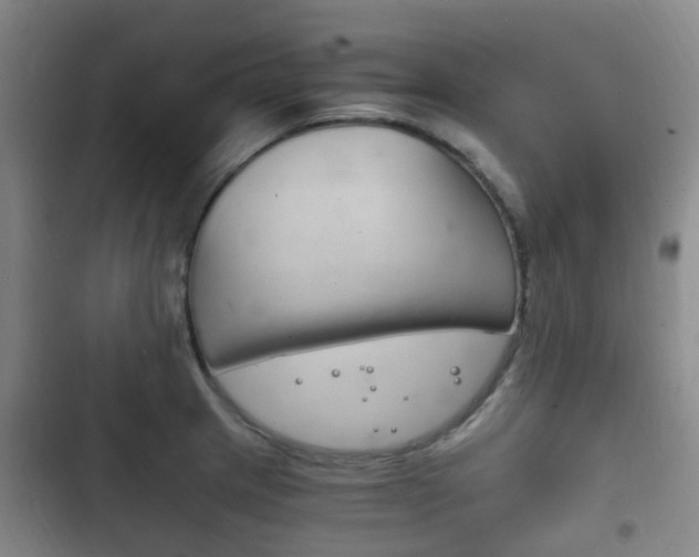 X0000102761233200808180924