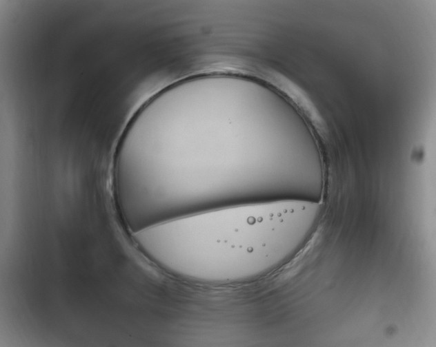 X0000102761234200808180924