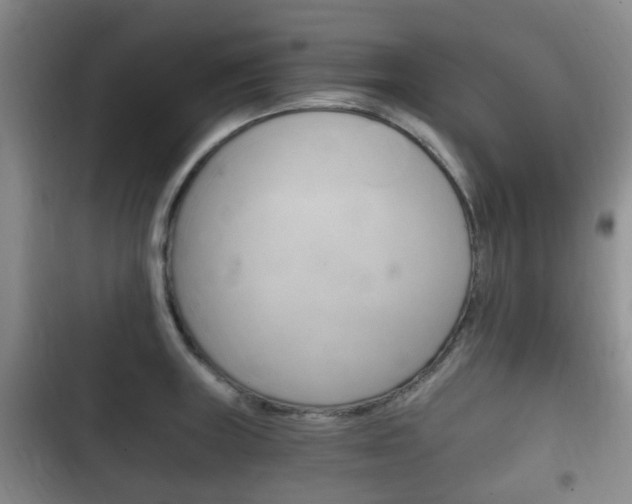 X0000102761235200808180924