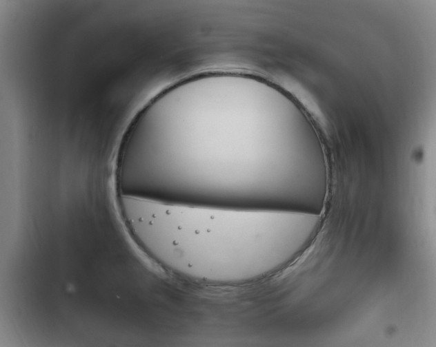 X0000102761237200808180924