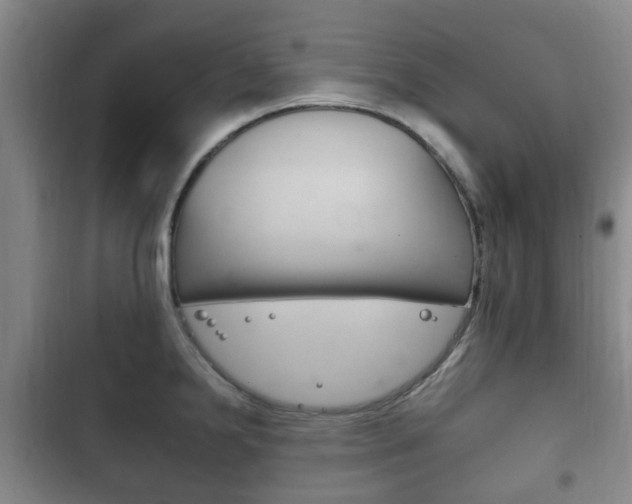 X0000102761238200808180924