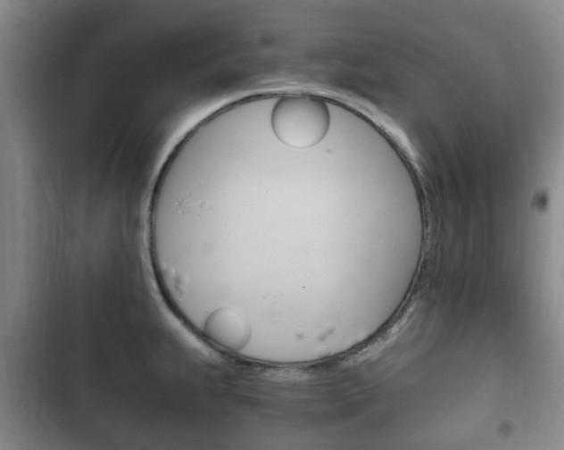 X0000102761239200808180924