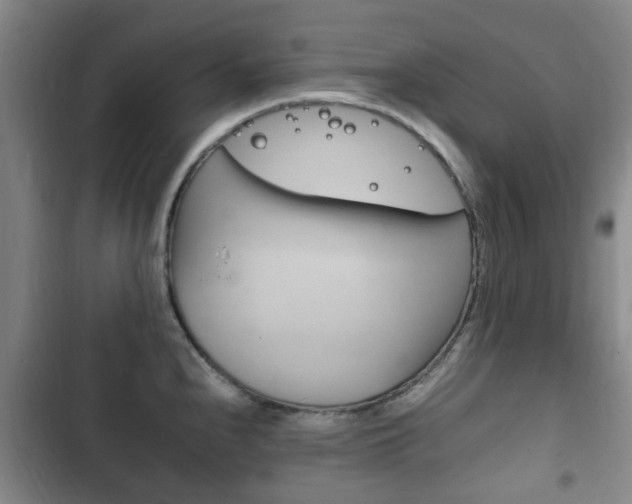 X0000102761240200808180924