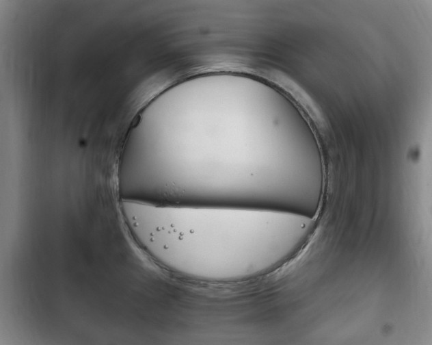 X0000102761241200808180924