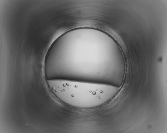 X0000102761242200808180924