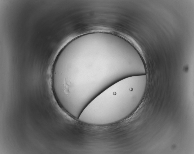 X0000102761243200808180924