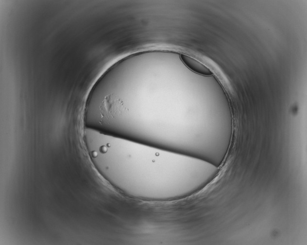 X0000102761244200808180924