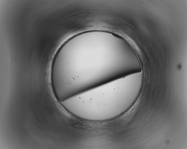 X0000102761246200808180924