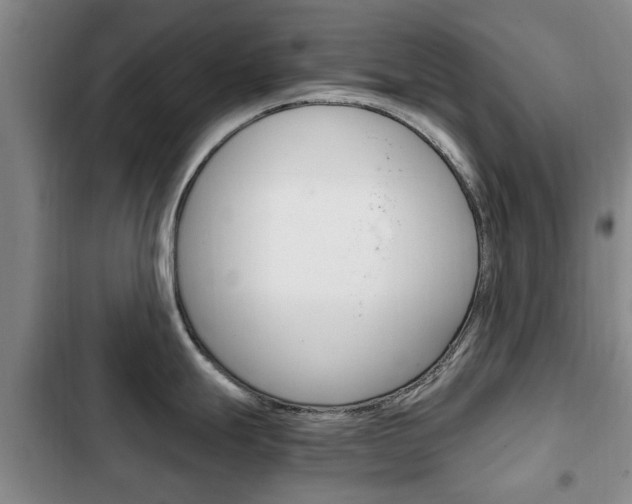 X0000102761247200808180924