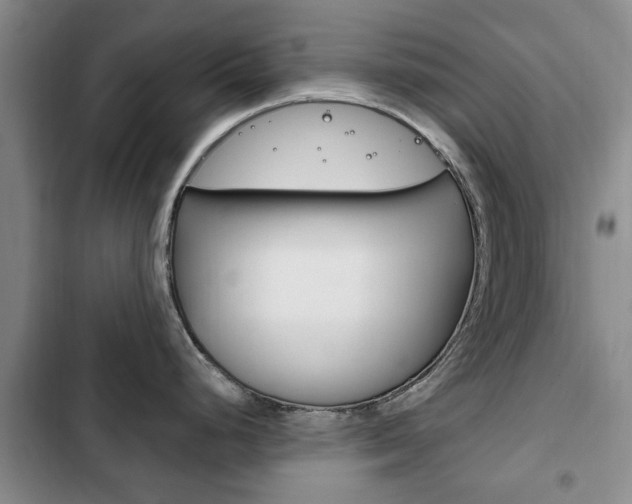 X0000102761248200808180924