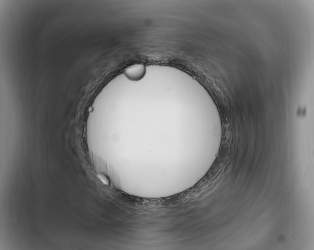 X0000102761249200808180923
