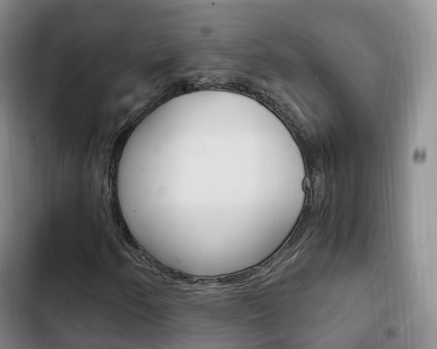 X0000102761250200808180923