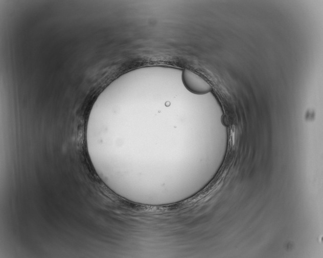 X0000102761251200808180923