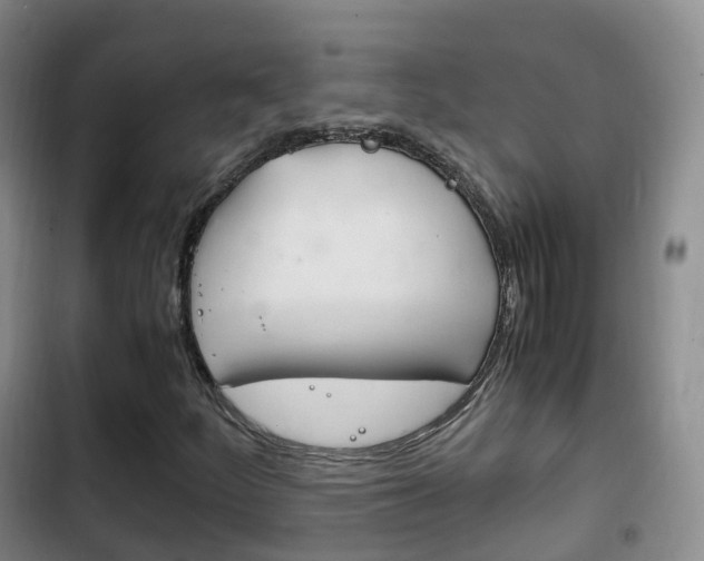 X0000102761252200808180923