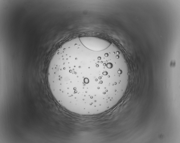 X0000102761253200808180923