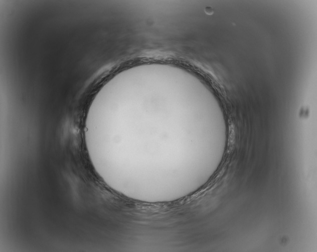 X0000102761254200808180923