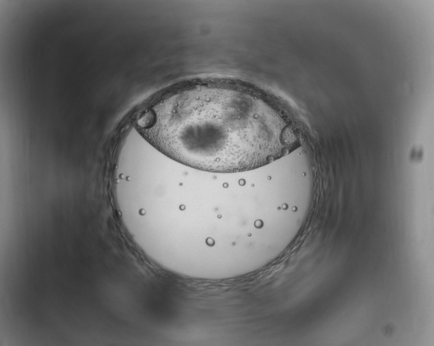 X0000102761255200808180923
