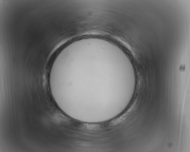 X0000102761258200808180923