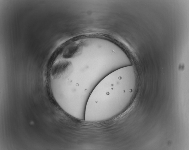 X0000102761259200808180923