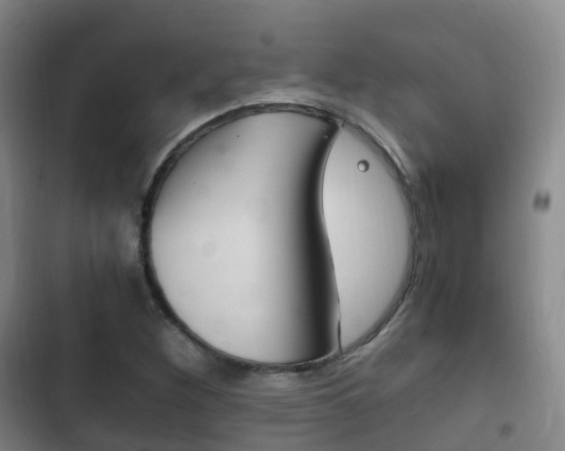 X0000102761260200808180923