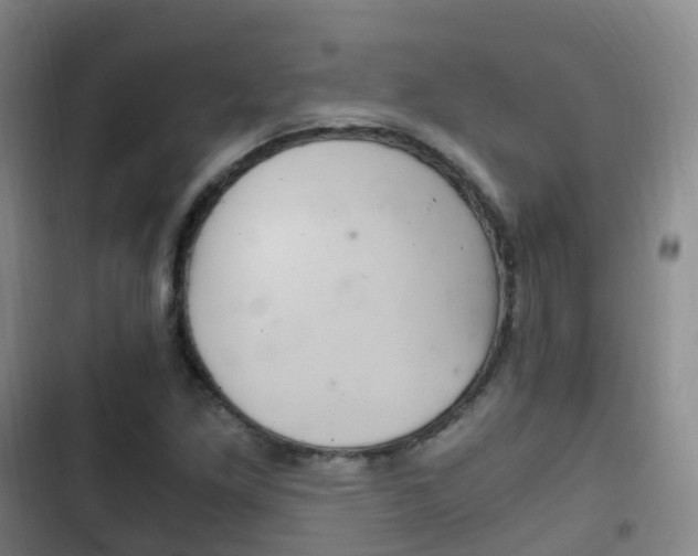 X0000102761261200808180923