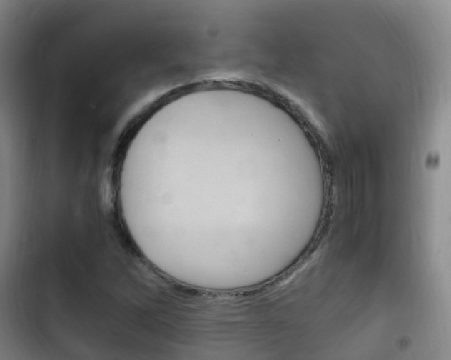 X0000102761262200808180923