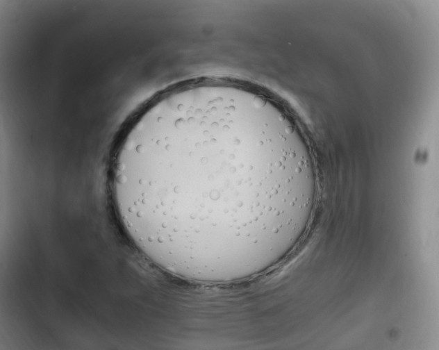 X0000102761263200808180923