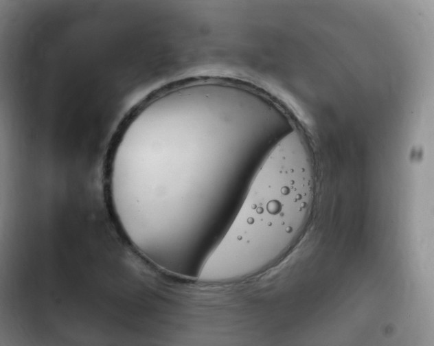 X0000102761264200808180923