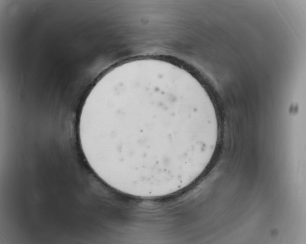 X0000102761265200808180923
