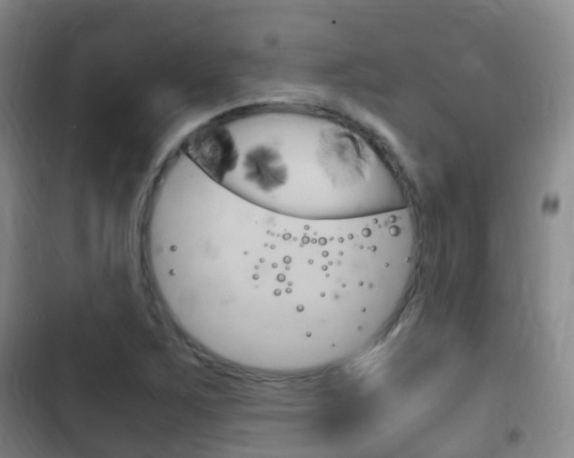 X0000102761267200808180923