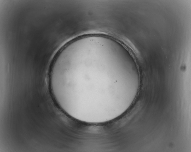 X0000102761268200808180923
