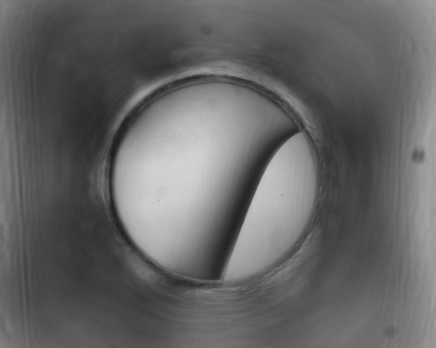 X0000102761272200808180923