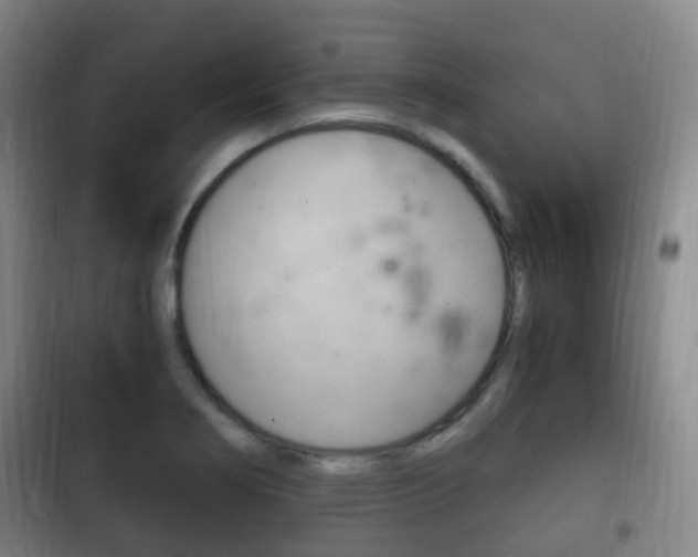 X0000102761274200808180923