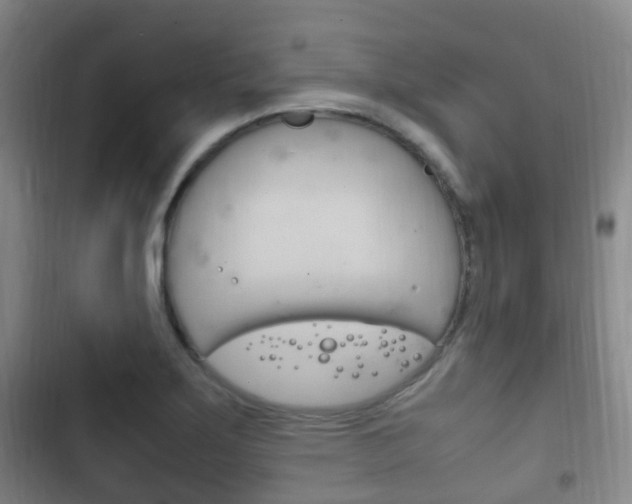 X0000102761275200808180923