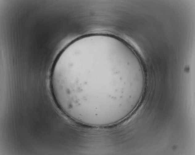 X0000102761277200808180923