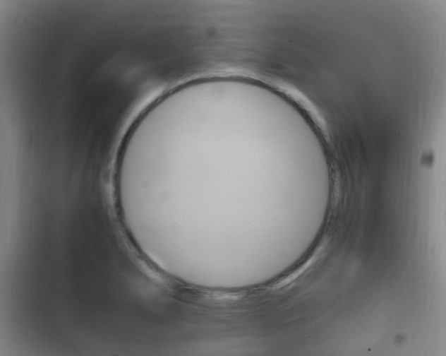 X0000102761278200808180923