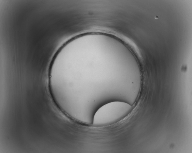 X0000102761280200808180923