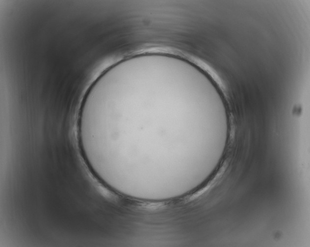 X0000102761282200808180923