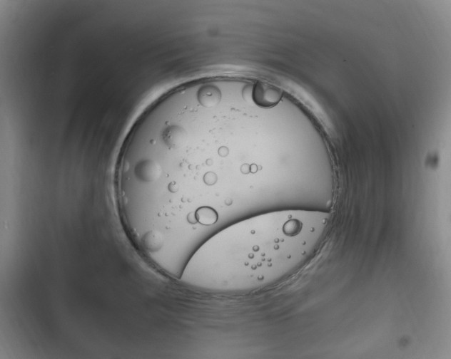 X0000102761283200808180923